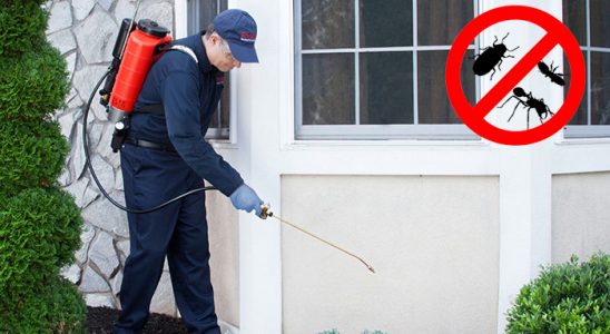 Kuşadası Böcek İlaçlama böcek ilaçlama ve haşere kontrolü — ilaclama-tr.com